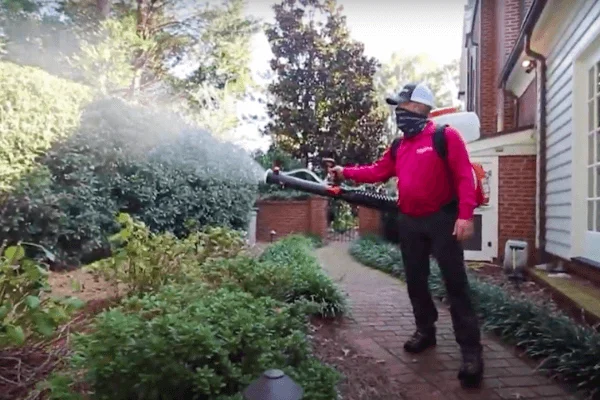 mosquito misting system